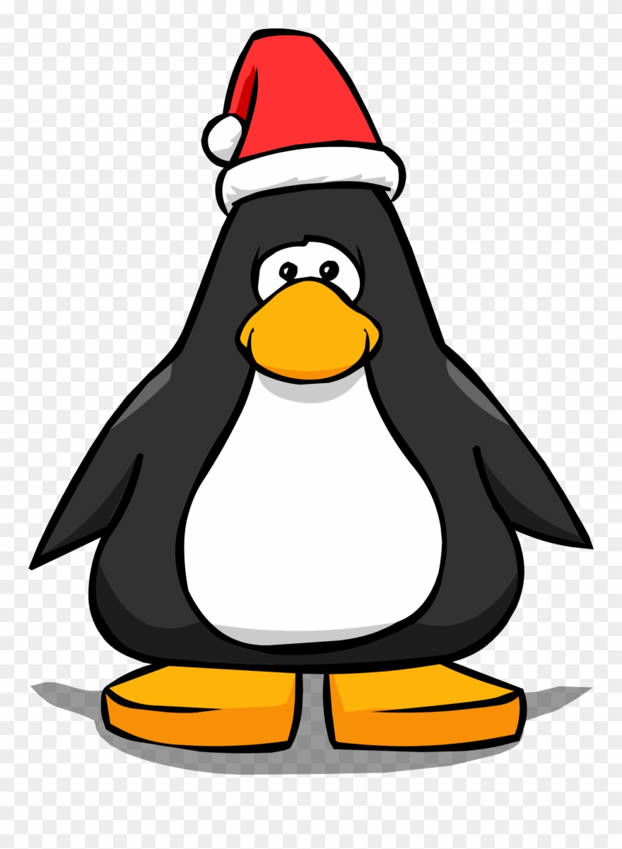 Santa Hat Clipart Club Penguin - Penguin With Santa Hat - Png Download