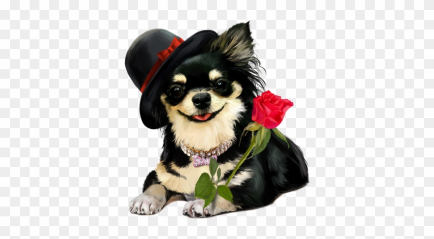 Animal Clipart - Красивые Открытки С Днем Рождения Алле - Png Download