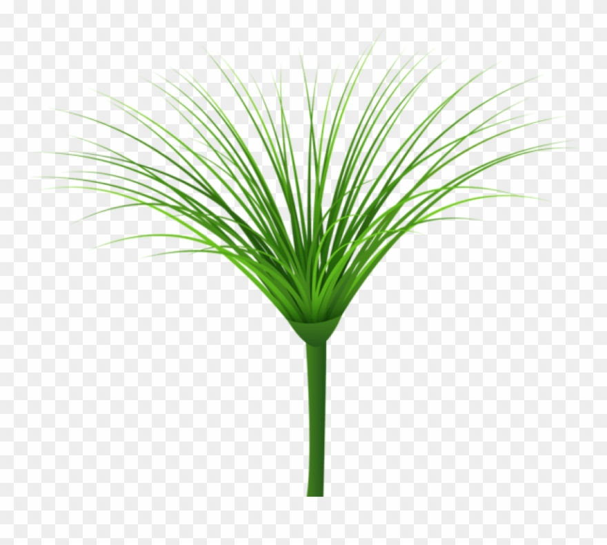 Download Tropical Green Leaf Clipart Png Photo - Sweet Grass Transparent Png