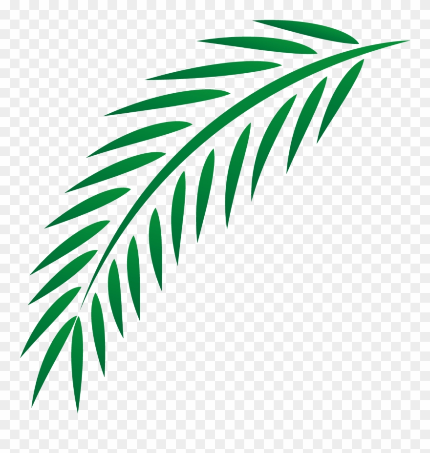 Euclidean Easter Leaves Transprent - Palm Branch Clipart
