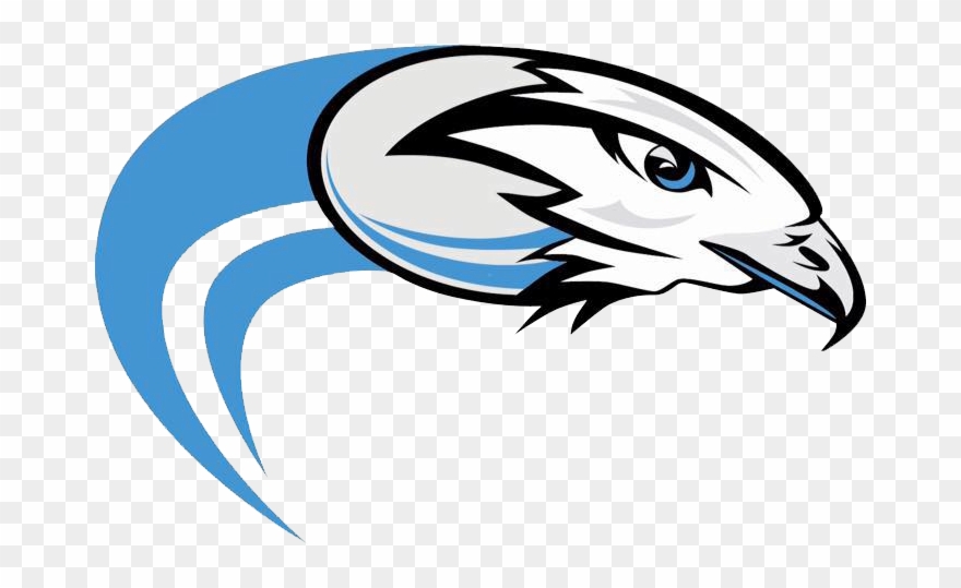 Syracuse Silver Hawks - Aguilas En Blanco Y Negro Clipart