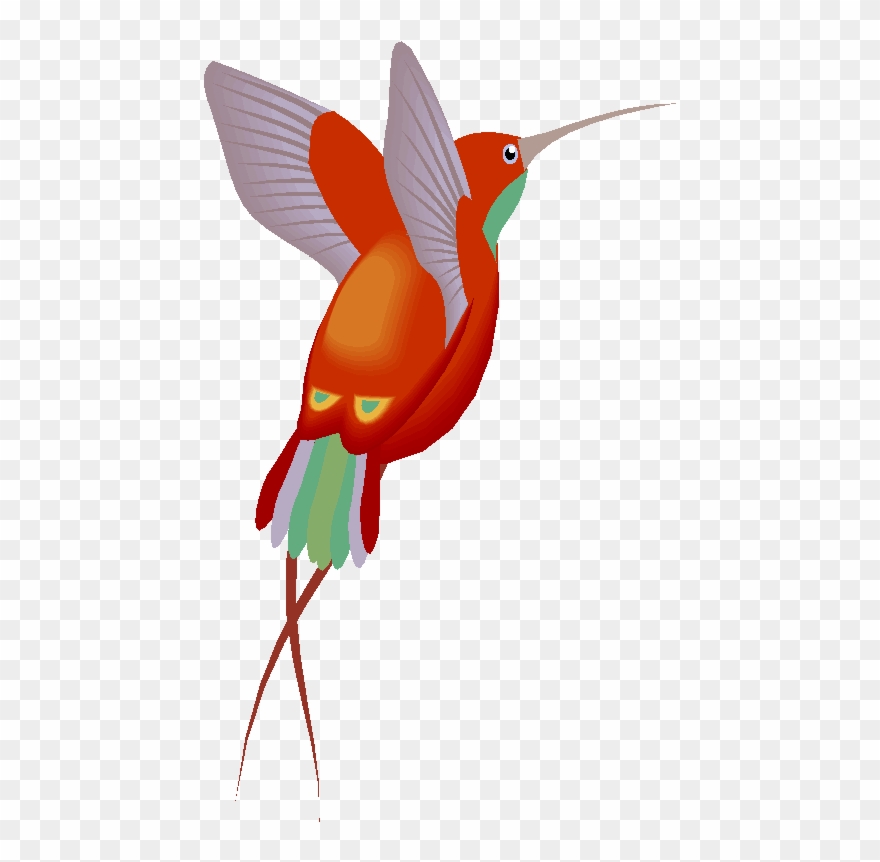Beija Flor Vermelho E Bico Longo - Figura De Beija Flor Clipart