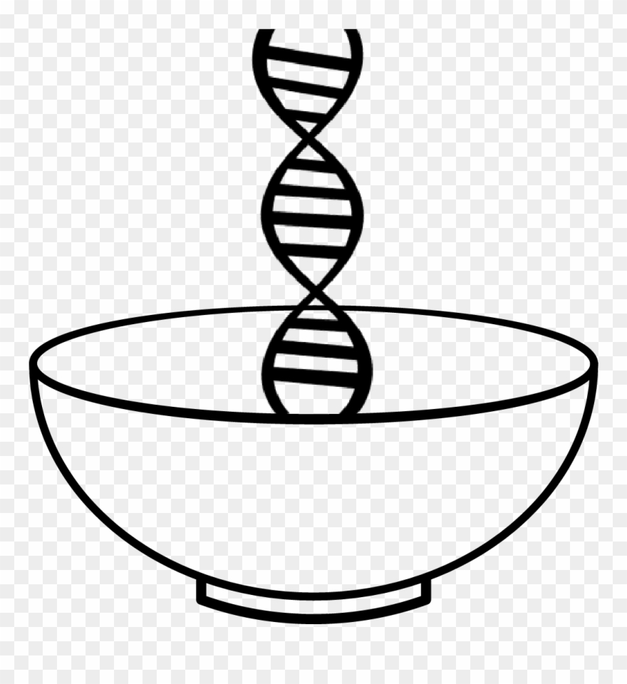 We Are More Than Our Brains Clipart