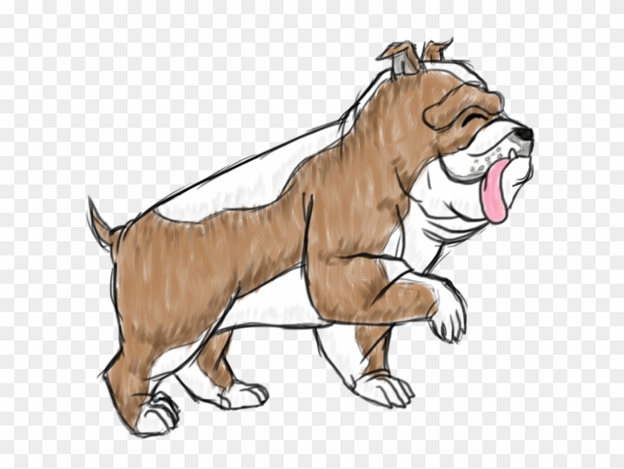 Duke The English Bulldog - Bulldog Clipart