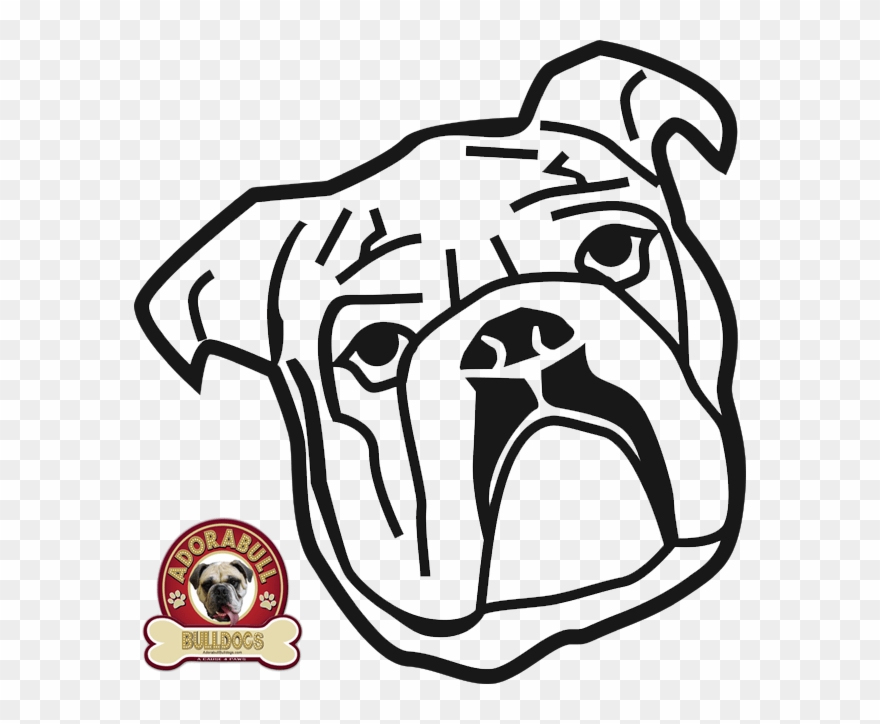 Adorabull Bulldogs Adorebulldogs Twitter Png English - Ok Google Foto Kepala Anjing Bulldog Kartun Clipart