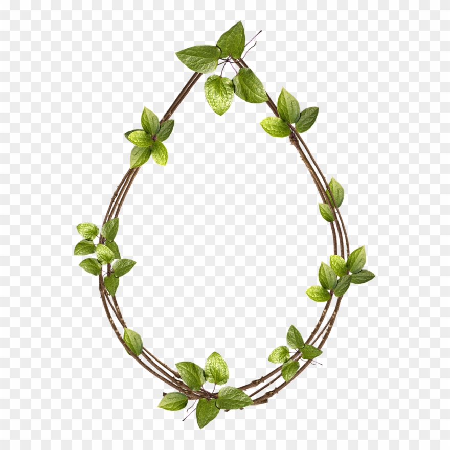 Tubes Cadres Clip Art, Frames, Illustrations - Clip Art - Png Download