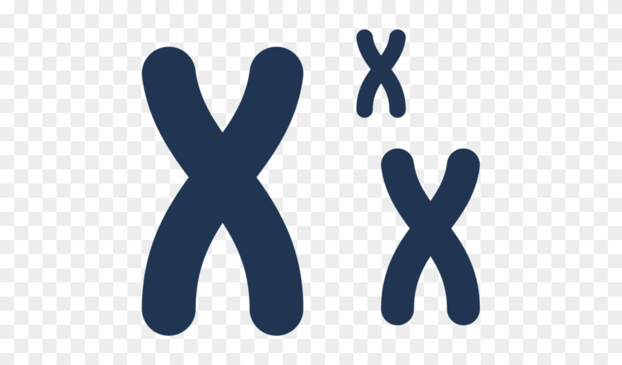 Discover How The Smrt Sequencing Applications Can Empower - Coloring Book Clipart