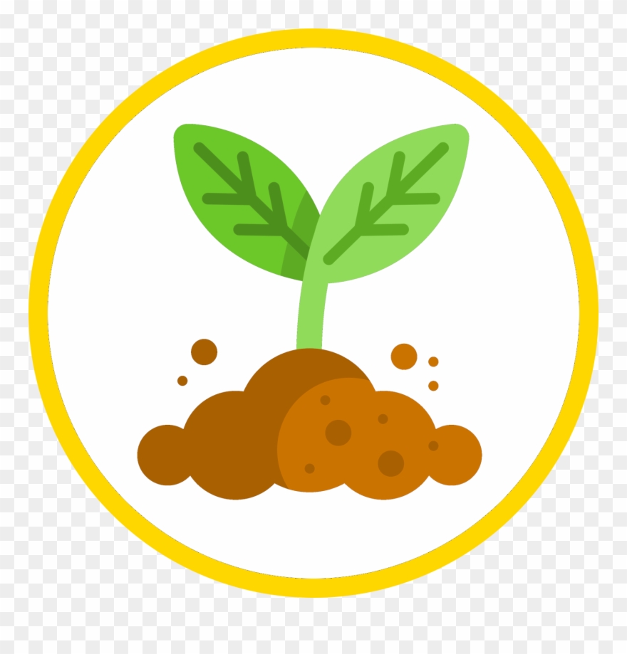 Winners Of The Undergraduate 'best Plant Synthetic - Plant Cartoon Png Clipart