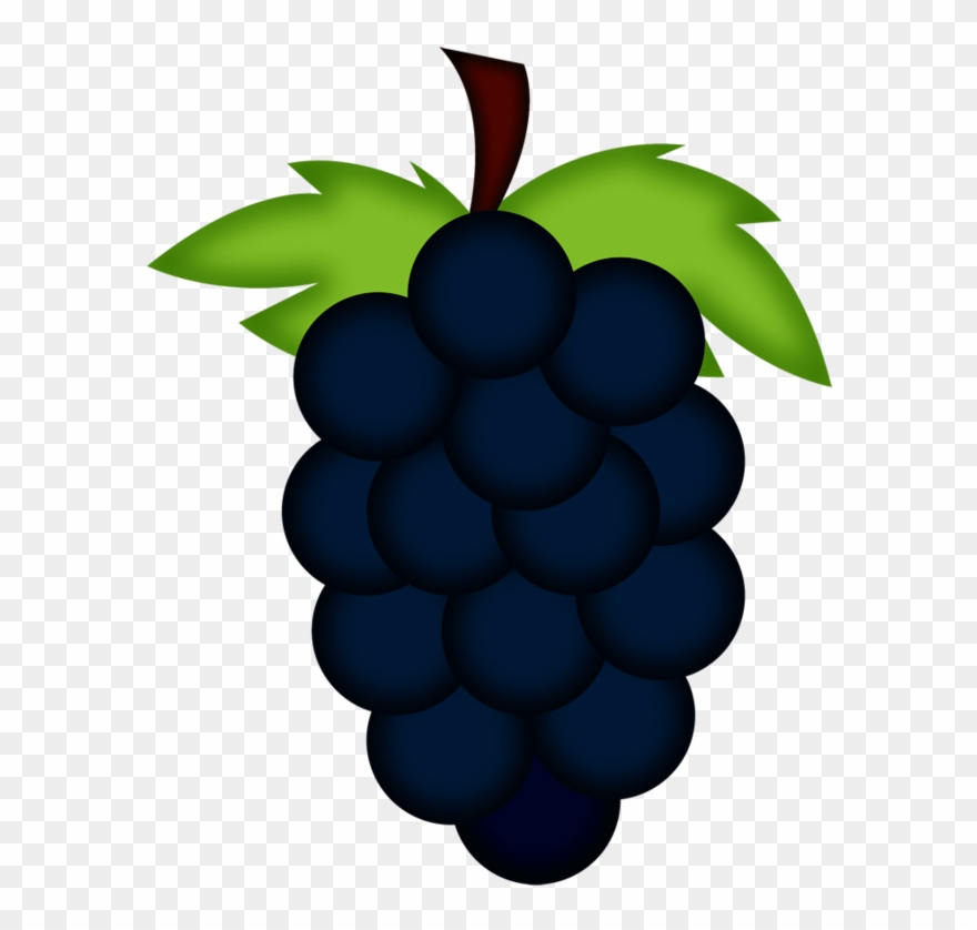 ○‿✿⁀grapes‿✿⁀○ Fruta, Preescolar, Fondos, Decoupage - Seedless Fruit Clipart