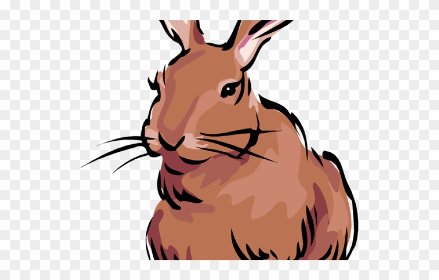Rabbit Clipart Banner - Black Tailed Jackrabbit Animated - Png Download