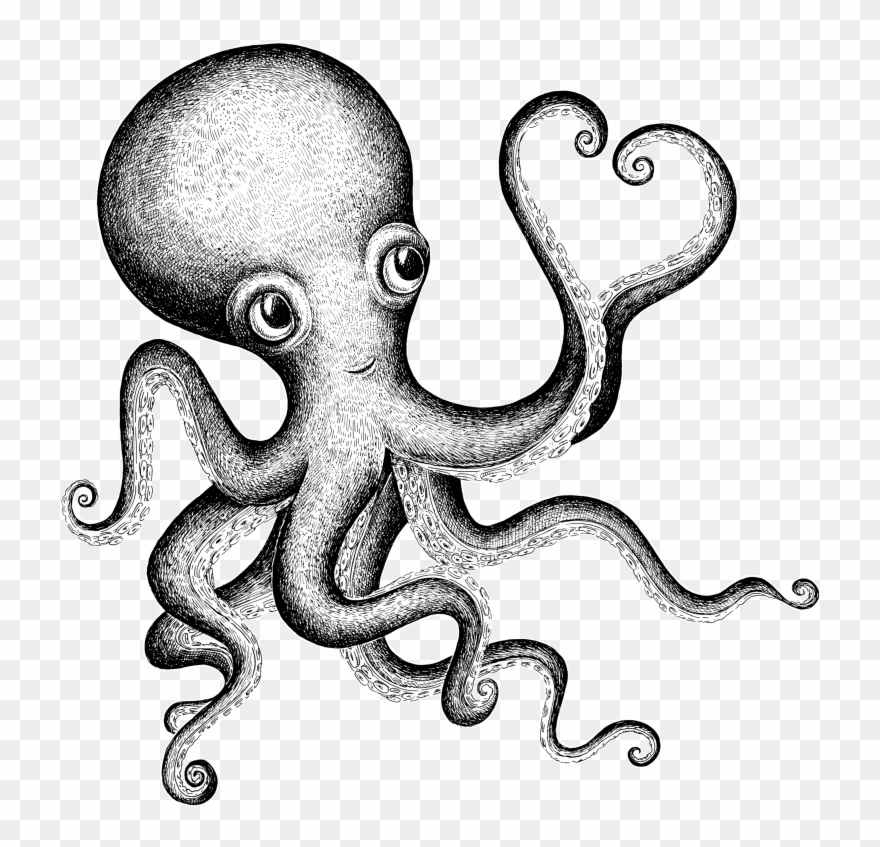 Valentine S Day Drawing Clip Art Octapus - Png Download