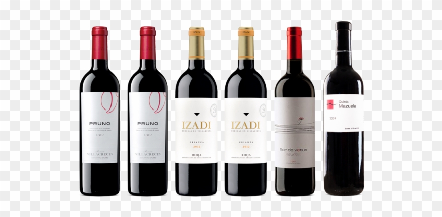 Lote Descuento Especial Novedades - Pack Top Vins Parker Clipart