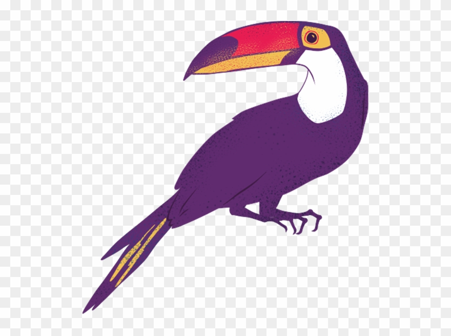 Clip Art Transparent Download About Amaz Nia Font Menu - Toucan - Png Download