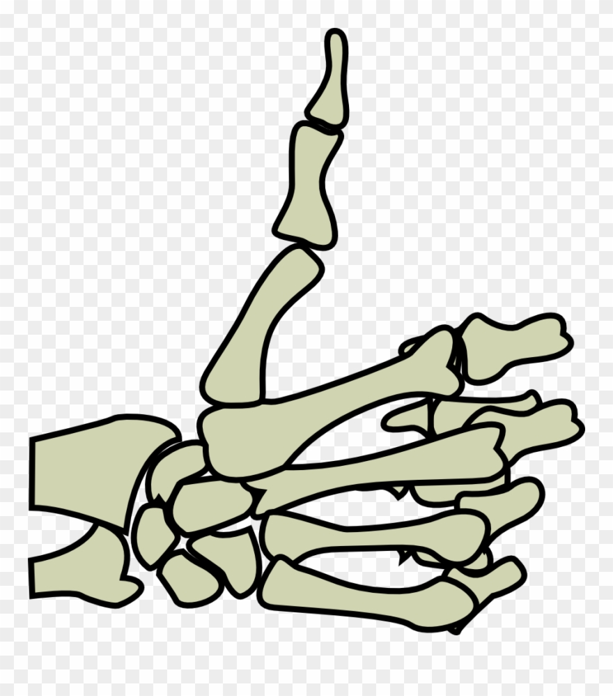 You Need To Login To View This Link Hopefully This - Skeleton Hand Thumbs Up Png Clipart
