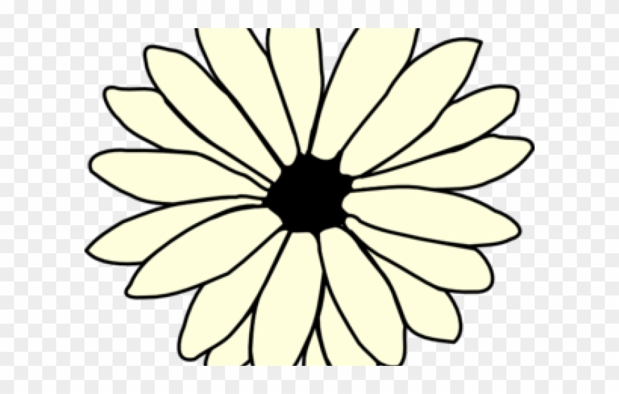 Daisy Clipart Books - Single Flower Coloring Flower - Png Download