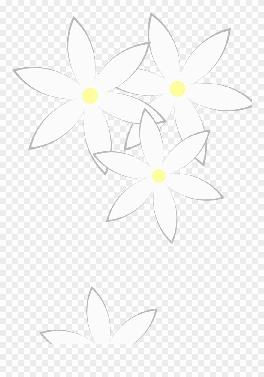Free Daisies Clipart