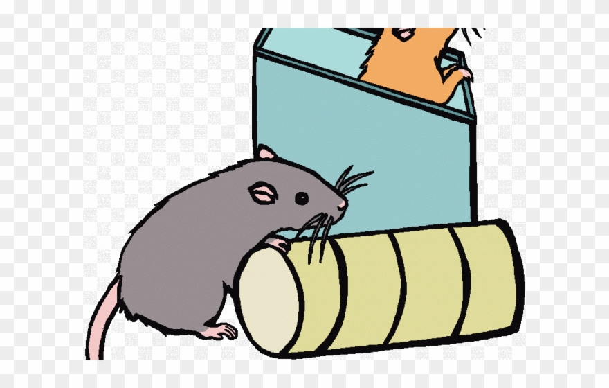 Rat Clipart Friendly - Png Download