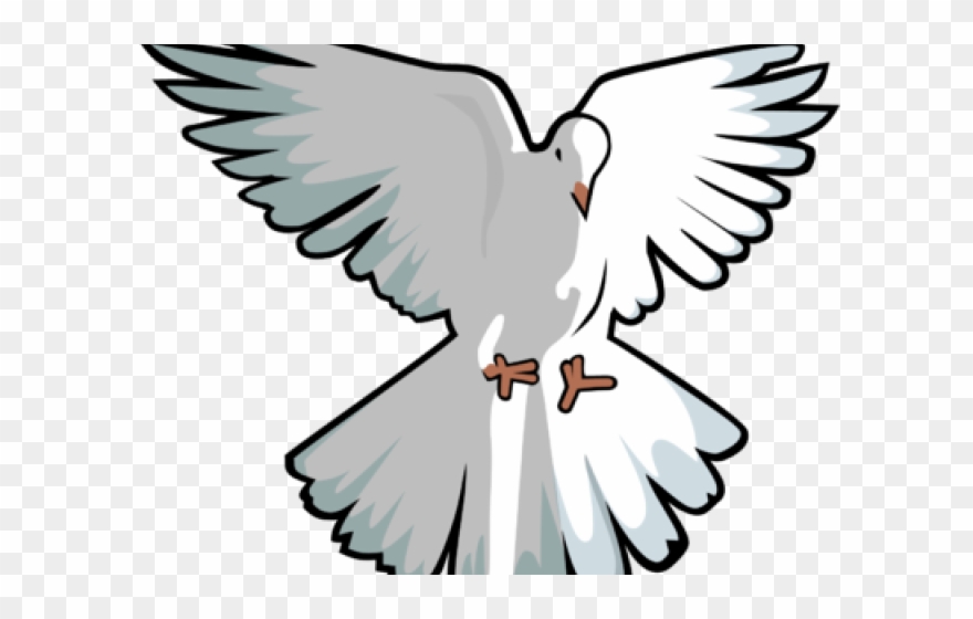 Dove Clip Art - Png Download