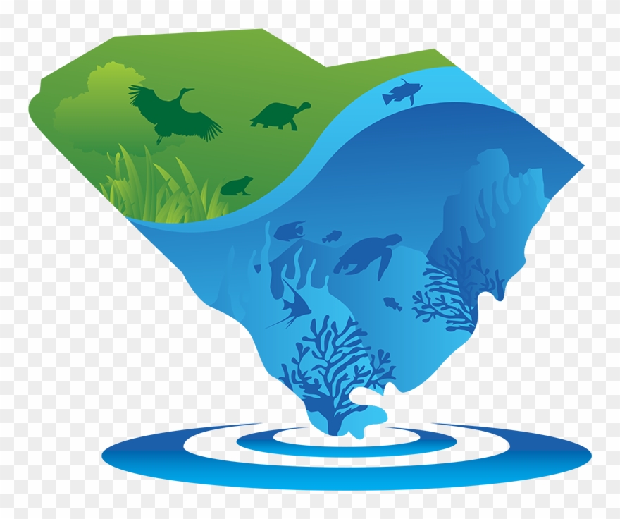 Courtyard Myrtle Beach Broadway - Portable Network Graphics Clipart