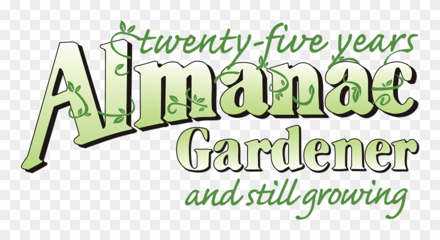 Saturdays At 12 Pm On Unc-tv - Logo Clipart