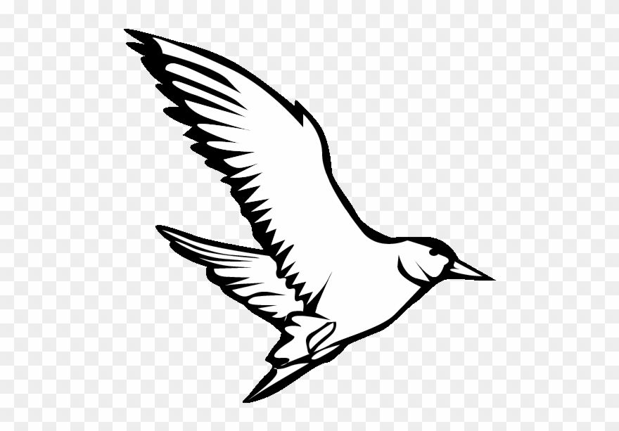 Eps 9 Seagull Printable Coloring In Pages For Kids - Funny Drawings With Jokes Clipart