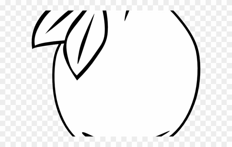 Orange Fruit Clipart Circle - Coloring Book - Png Download