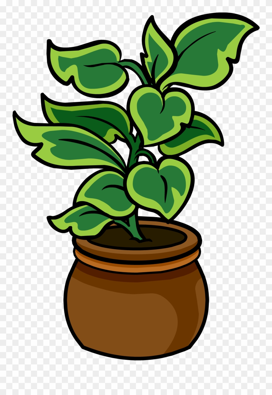 Potted Palm - Club Penguin Potted Plant Clipart