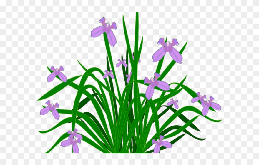 Pot Plant Clipart Healthy Plant - Vasos De Plantas Aquaticas Vetor Png Transparent Png