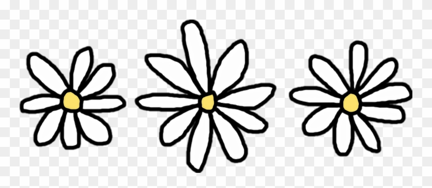 Flower Common Daisy Clip Art Transprent - Daisy Png Transparent Png