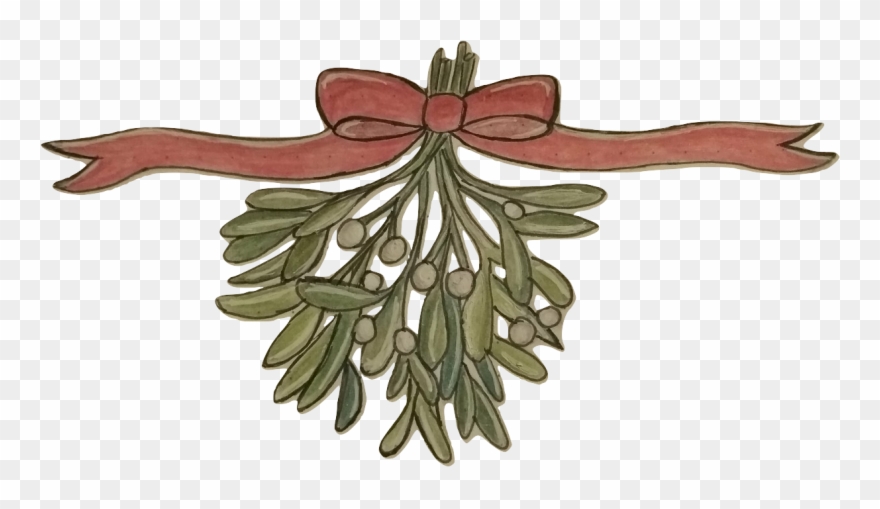 A Bundle Of Mistletoe Tied With A Red Rbbon - Illustration Clipart