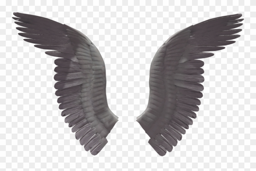 Eagle Clipart Clear Background - Eagle Wings No Background - Png Download