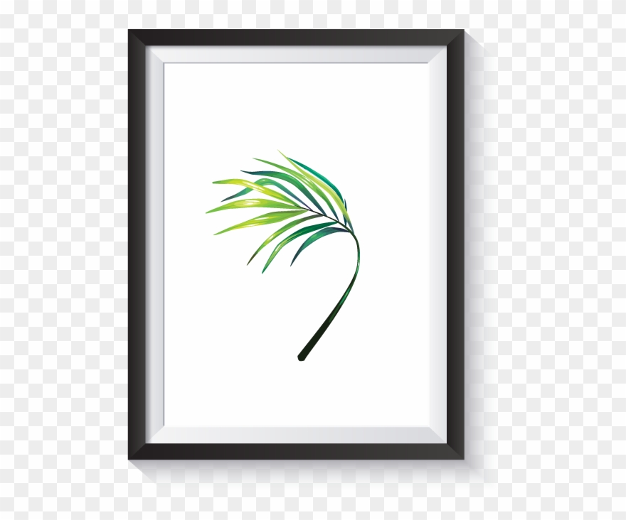Scandi Illustrated Banana Palm Frond No - Breast Clipart