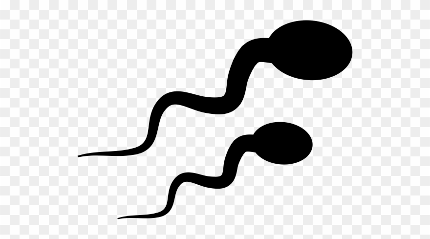 Sperm Icon Clipart