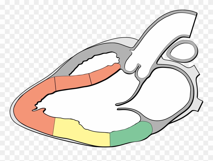 Open - Heart Clipart