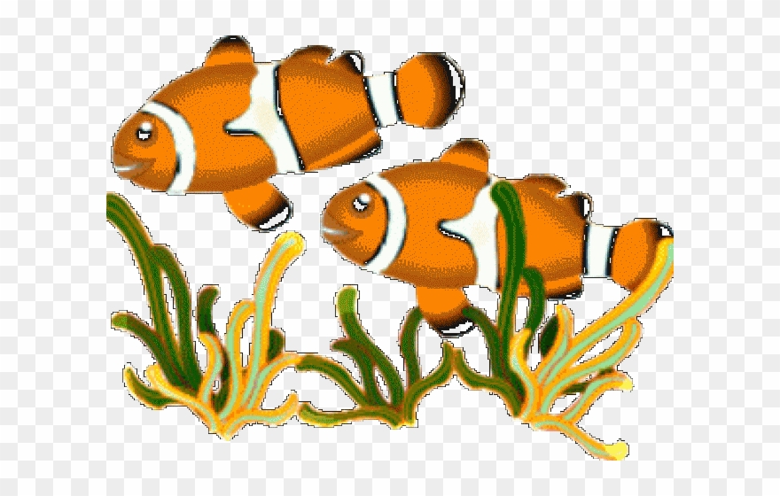 Marine Fish Clipart One Fish - Fishes Clipart - Png Download