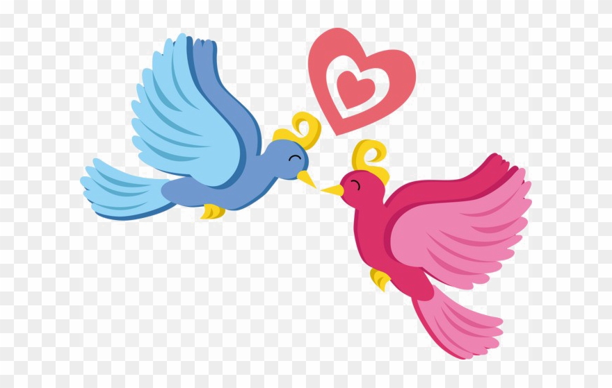 Love Birds Png Photo - Love Birds Images Png Clipart