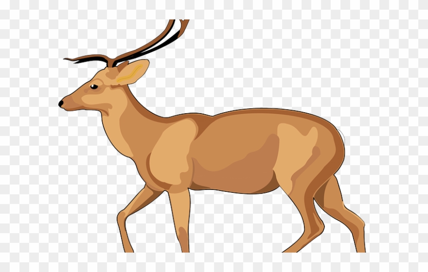 Gazelle Clipart Male Deer - Debden Park High School - Png Download