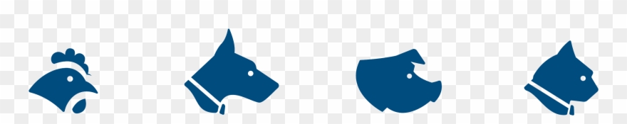 Feed - Decal Stickers Fresh Food Drink Store Restaurant Motorbike Clipart