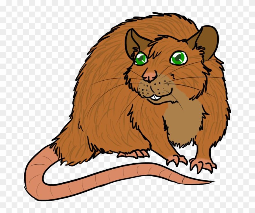 Jacky The Rat - Cartoon Clipart