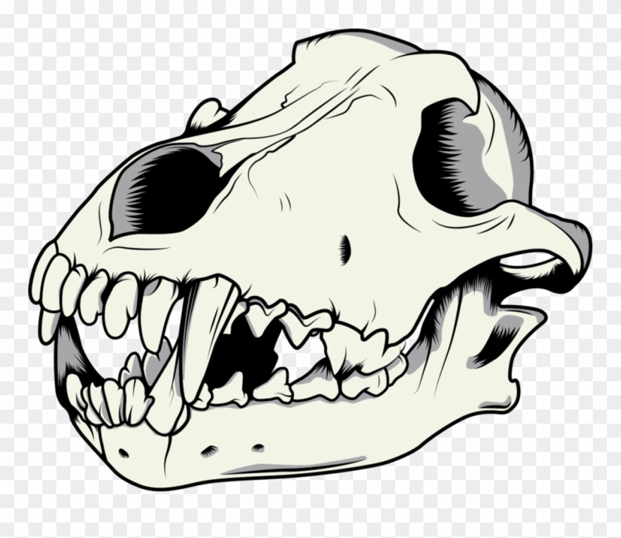 Thumb Image - Dog Skull Vector Png Clipart