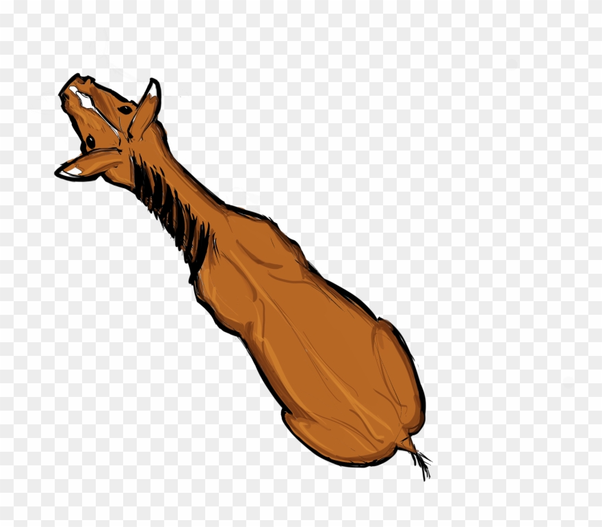 Horse From Above Clipart