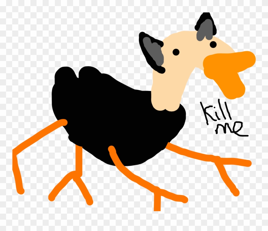 Drawing Kangaroos Leg - Ostrich With Four Legs Clipart
