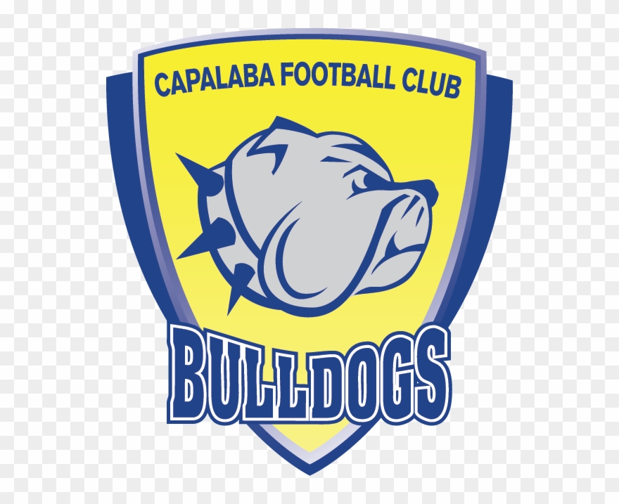 Open Letter To Members Clipart