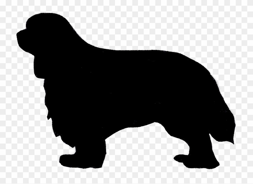 Almost Famous Dog Image Free Library - Cavalier King Charles Spaniel Logo Clipart