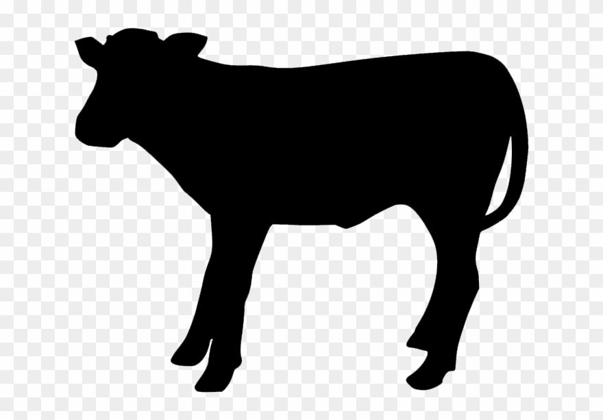 Spring 2018 Videos English - Dairy Cow Clipart