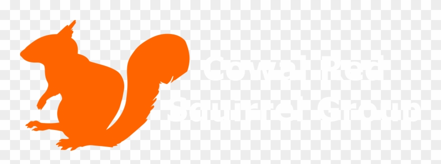 Cowal Red Squirrel Group - Squirrel Png Logo Clipart