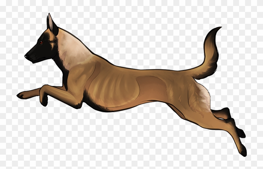 Aeta Portion One - Companion Dog Clipart