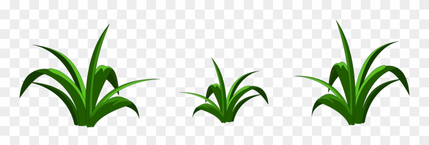 Transparent Grass Clip Art - Png Download