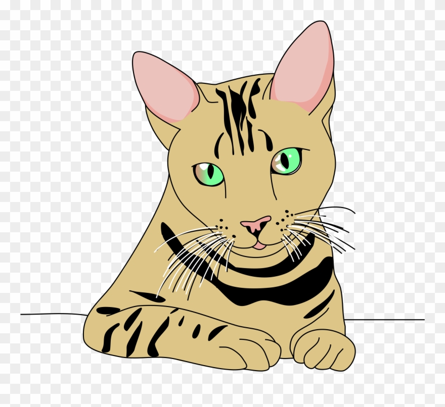 Clipart Cat Pose Top Png Top Cat Clipart - Kucing Lucu Png Transparent Png