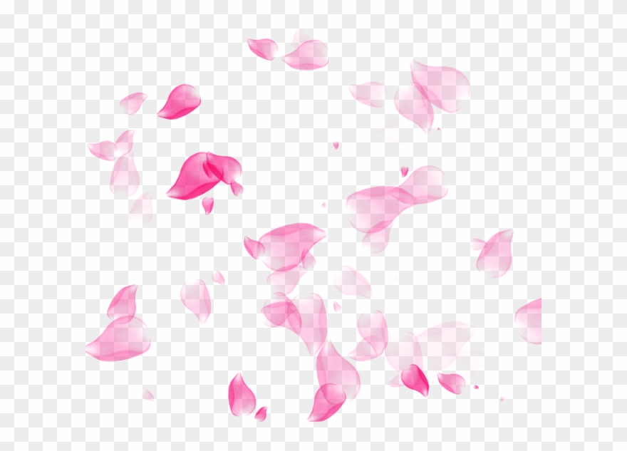 Clip Freeuse Stock Petal Png And Psd File For Free Transparent Png